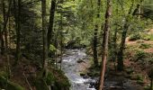 Randonnée Marche Tendon - Petite cascade du Tendon - Photo 2