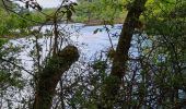 Randonnée Marche Fouesnant - baie autour de cap coz vers fouebant Penfoulick  - Photo 3