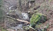 Trail Walking Theux - autour de croixpapet et vert-buisson - Photo 9