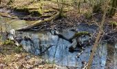 Randonnée Marche Rouilly-Sacey - Sacey Resson 16,6km le 25.03.2022 - Photo 14