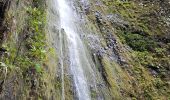 Excursión Senderismo São Vicente - Levada da Faja do Rodrigues (Rother n°32) - Photo 11