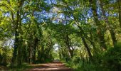 Tour Wandern Soorts-Hossegor - étape 6 Compostelle 24  - Photo 5