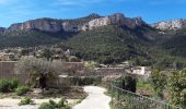 Percorso Marcia Le Revest-les-Eaux - Le Mont Caume-17-03-21 - Photo 20