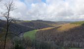 Excursión Senderismo Bouillon - rando rochehaut 19/11/2020 - Photo 8