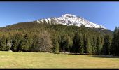 Trail Walking Revel - Mont Morel - Photo 2
