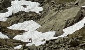 Trail Walking Chamonix-Mont-Blanc - Chamonix Lac Blanc  - Photo 19