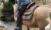 Trail Horseback riding Baccarat - Chez Alex mercredi 21 février 24 Mirador  - Photo 5