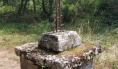 Percorso Marcia Saint-Nectaire - LES GROTTES DE CHATEAUNEUF DEPUIS LE CAMPING DU VIGINET - Photo 11