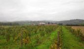 Tocht Stappen Lozanne - forêt de la flachere - Photo 1