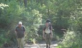 Trail On foot Houffalize - GrWandArdRiv 39: Engreux waar de westelijke Ourthe een meer wordt - Photo 5