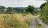 Tocht Stappen Thuin - Thuin vallée de la Biesmelle 16 km - Photo 16