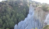 Percorso A piedi Olesa de Montserrat - PR-C 168 Camí de Vilalba - Photo 4