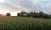 Percorso A piedi Rohrbach an der Lafnitz - Wanderweg 7 - Photo 3