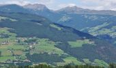 Tour Zu Fuß Lajen - Vogelweider Rundweg - Photo 1