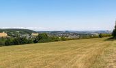 Tour Zu Fuß Warburg - A9 Rundwanderweg Hardehausen - Photo 6