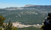 Trail Walking Le Castellet - SityTrail - 2361987 - begude - Photo 8