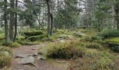 Tour Wandern Sankt Kreuz im Lebertal - boucle col haut de Ribeauvillé - taennchel sentier des roches  - Photo 7