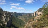 Excursión Senderismo Veyreau - Corniche du Causse noir (Le point sublime)  - Photo 13