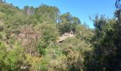 Percorso Marcia Roquebrune-sur-Argens - Circuit de l'eau - Photo 6