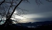 Excursión Raquetas de nieve Lans-en-Vercors - Belvédère des Cimes et Moucherotte en raquettes - Photo 1