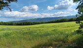 Tocht Stappen Rustrel - visite et tour du Colorado Provençal  - Photo 10