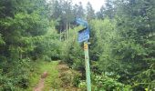 Trail Walking Hamoir - Filot 220725 - Photo 19