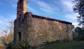 Tocht Te voet Porqueres - Ruta de l’Estany a Sant Patllari - Photo 8