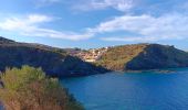 Trail Walking Cerbère - village des aloès - cap cerbère/ aller-retour - Photo 1