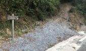 Tour Pfad Carcheto-Brustico - Boucle 2 de la station de trail de corse  - Photo 3