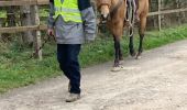 Excursión  Métairies-Saint-Quirin - Rond pré avec Lola et shine  - Photo 1