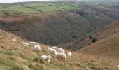 Percorso A piedi North Devon - Heddon Valley coast walk - Photo 8