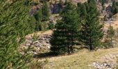 Trail Walking Ancelle - Le Puolit par la Haute Rouanne - Photo 3