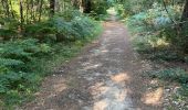 Percorso Marcia Brain-sur-Allonnes - BALADE BRUN SUR ALLONE DANS LA FORÃT  - Photo 11
