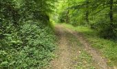 Tour Wandern Thoré-la-Rochette - Thoré-la-Rochette - Vallée et Coteaux du Loir - Photo 6