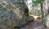 Randonnée Marche Fontainebleau - Fontainebleau sentier Denecourt 10 - Photo 5