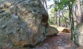 Percorso Marcia Fontainebleau - Fontainebleau sentier Denecourt 10 - Photo 5