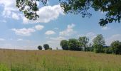 Randonnée Marche Comblain-au-Pont - oneux . hoyemont . chambrale . oneux  - Photo 20