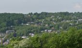 Trail Walking Malmedy - 202200518 - MONITEURS Malmedy 5.1 Km - Photo 11
