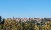 Tocht Stappen La Garde-Adhémar - grade delmar - Photo 8