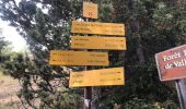 Tour Nordic Walking Valloire - La borgé les balais beaujournal les Verneys Valloire - Photo 5