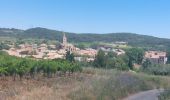 Excursión Senderismo Capestang - CC_Piemont_AB_02_Capestang_Bize-Minervois_20240612 - Photo 6