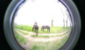 Trail Horseback riding Savigny-en-Véron - 3749 - Photo 1