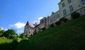 Tour Wandern Saint-Germain-sur-Vienne - Saint-Germain-sur-Vienne - Zig zag GR3 Fontevraud-l'Abbaye - 20km 350m 4h50 (45mn) - 2024 05 08 - Photo 9