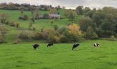 Trail Walking Blegny - A travers les champs de Blegny et ses environs  - Photo 12