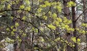 Tour Wandern Arbonne-la-Forêt - La Feuillardiere - Photo 1