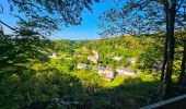 Randonnée Marche Chimay - Balade de Lompret à Aublain - Photo 9