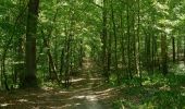 Excursión A pie Dourdan - FR-balisage orange en forêt de Dourdan à rattacher aux bons itinéraires - Photo 9