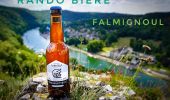 Tocht Stappen Dinant - Rando bière : Falmignoul - Photo 1