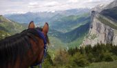 Tocht Paard Roissard - Trieves - Devoluy - Photo 4