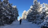 Excursión Raquetas de nieve Les Angles - Pla del mir lac d’aude bis  - Photo 8